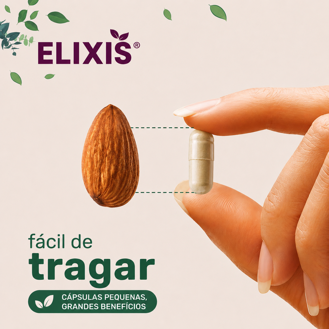 Capsulas de Colágeno Multifuncional (Edición Limitada)